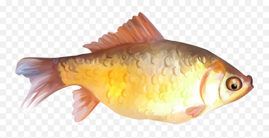 Fish Clipart Png Transparent Images Free Download - Fish Painting Png Emoji,Fish Transparent Background