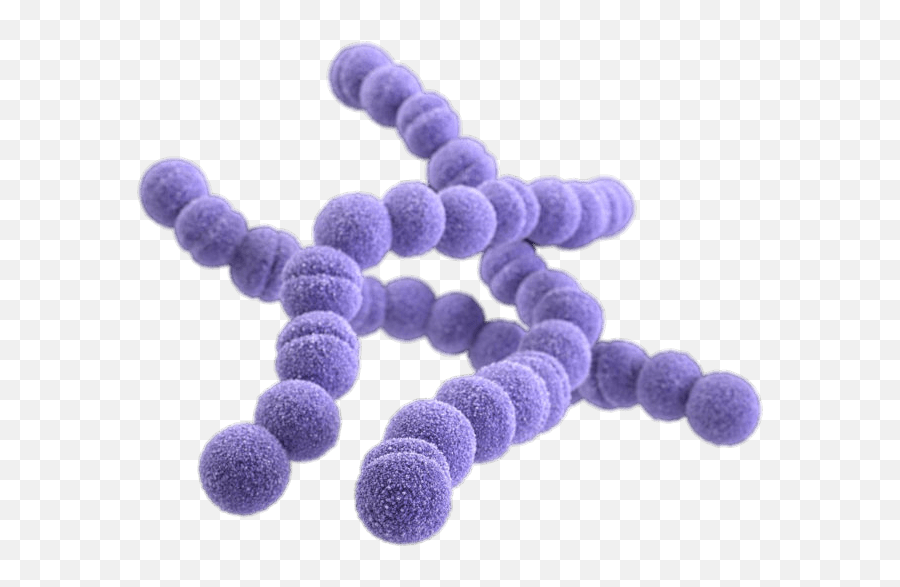 Bad Bacteria Cartoon Transparent Png - Stickpng Real Bacteria Png Emoji,Germs Clipart