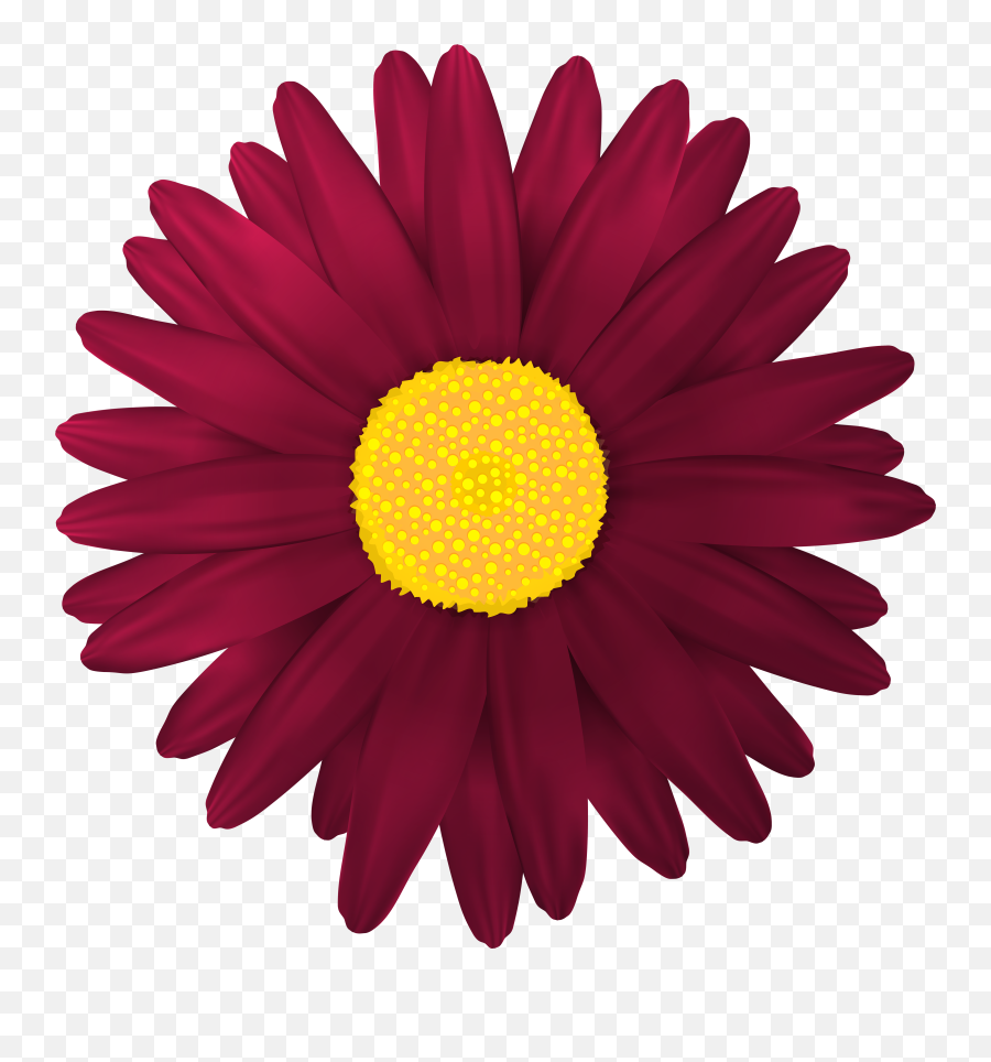 Gerbera Clipart Red Flower - Dark Pink Flower Transparent Dark Ppink Flower Png Emoji,Pink Flower Clipart