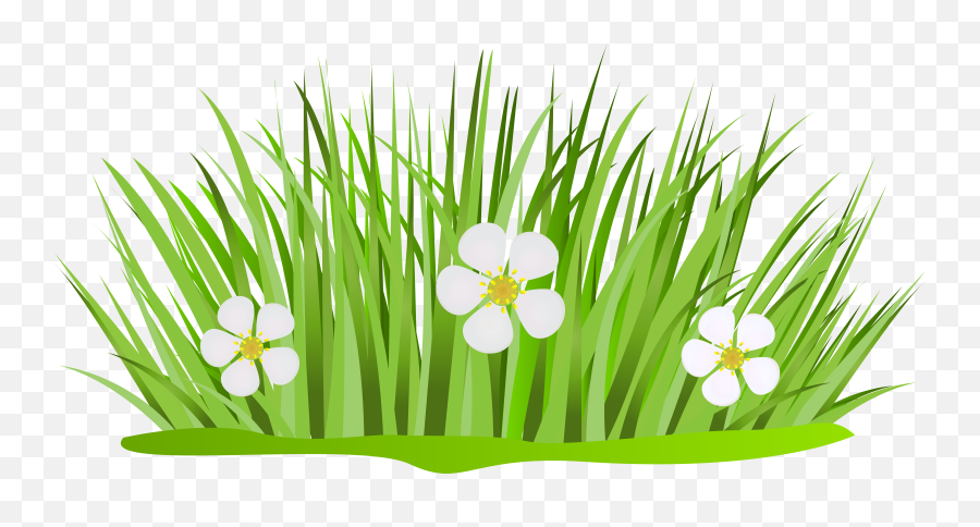 Grass Cartoon Png - Flower And Grass Clipart Emoji,Cartoon Grass Png
