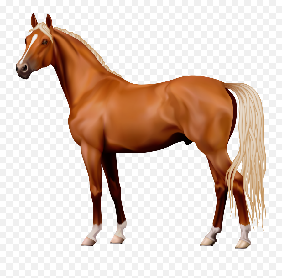 Horse Clipart 7 Clip Art - Horse Clipart Png Emoji,Horse Png