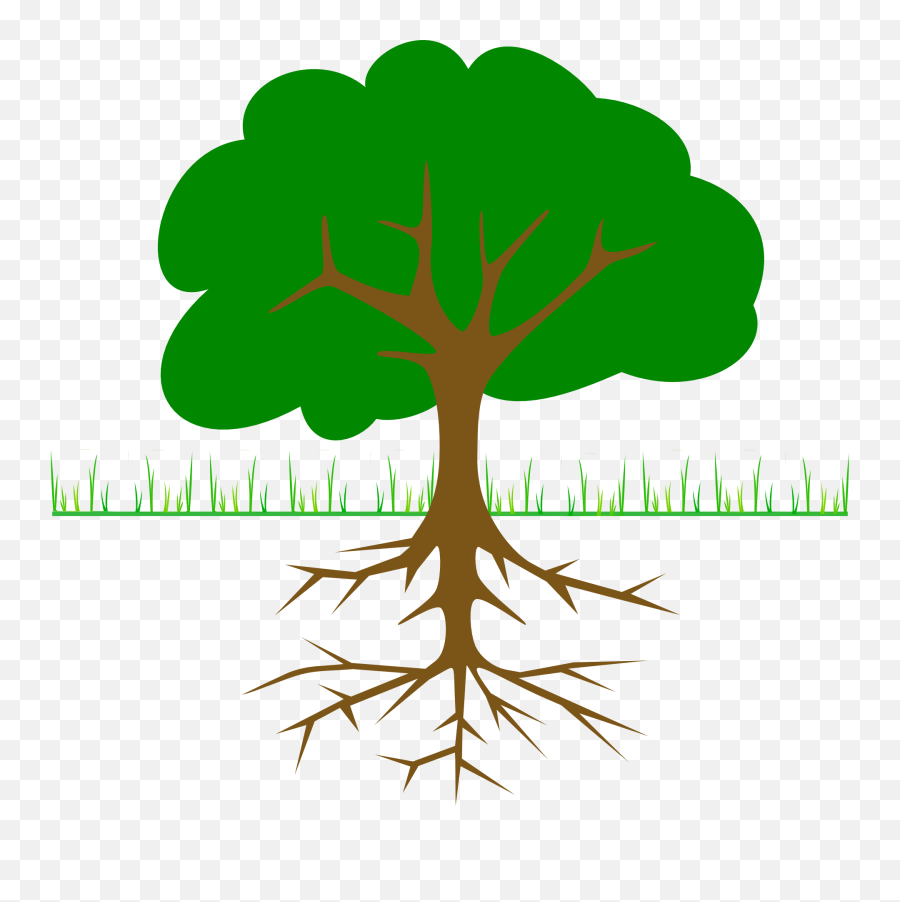 Tree With Roots And Branches Clipart - Clipart Best Tree Clipart With Roots Emoji,Branches Clipart