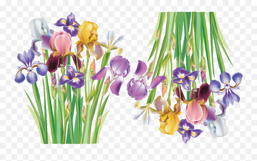 Wall Decal Flower Two Bunches Of Irises Emoji,Iris Flower Clipart