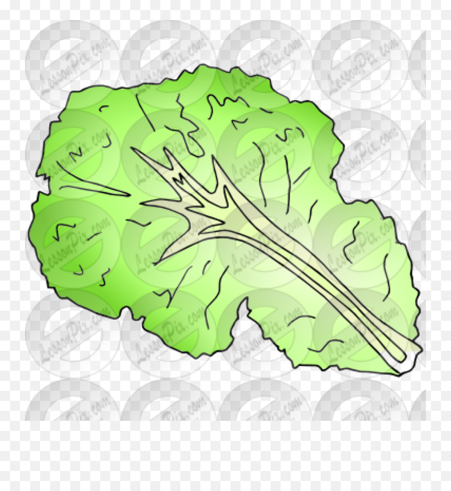 Lettuce Leaf Picture For Classroom - Superfood Emoji,Lettuce Clipart