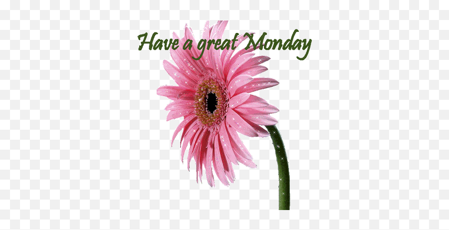 Happy Monday Gif - Happy Monday Good Morning Gif Emoji,Monday Clipart
