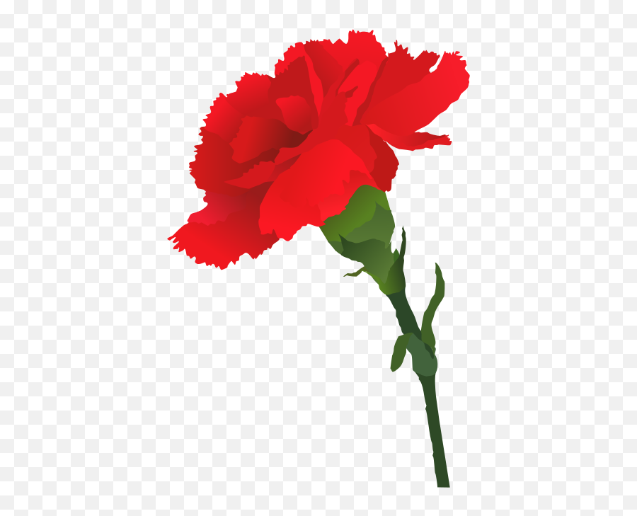 Floral Dress - Carnation Clipart Png Emoji,Sympathy Clipart