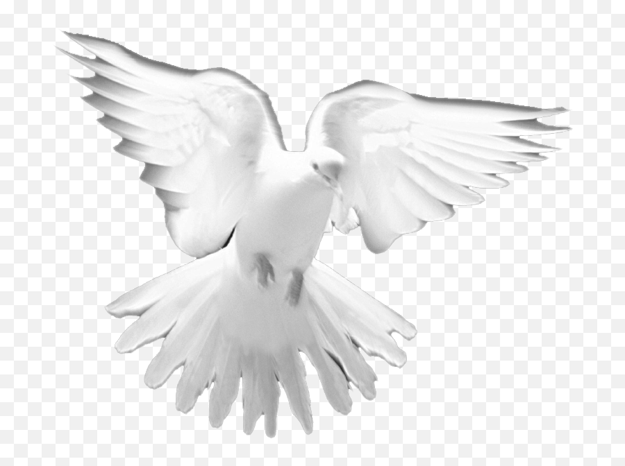 Holy Spirit Prayer Christian Church Clip Art - Doves Png Holy Spirit Dove White Background Emoji,Spirit Clipart