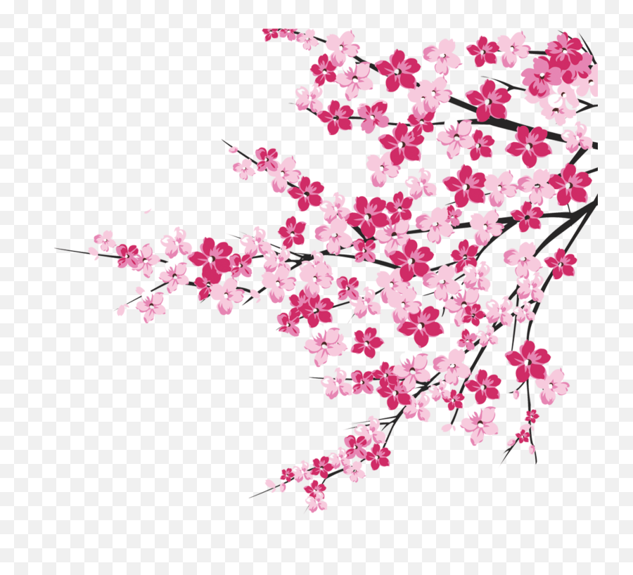 Cherry Blossom Tree Png - Cherry Blossom Clipart Transparent Emoji,Cherry Blossom Png