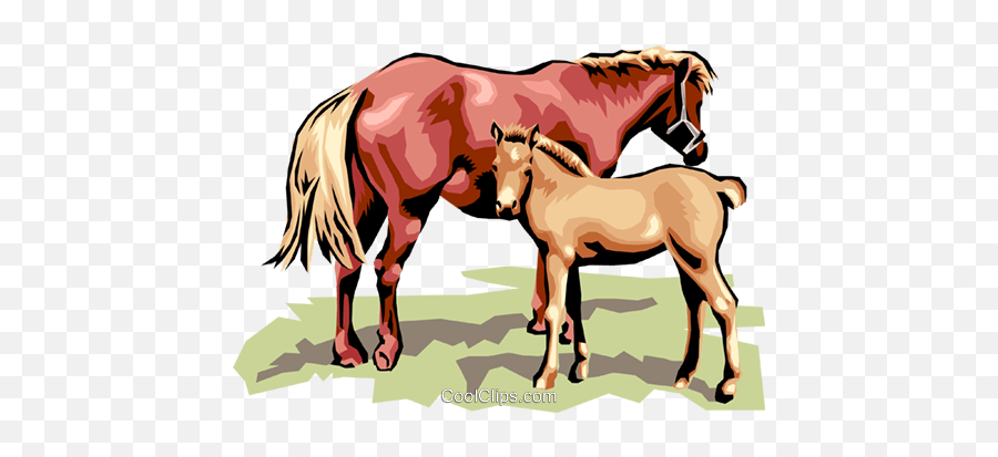 Horses Royalty Free Vector Clip Art Illustration - Anim1304 Emoji,Equestrian Clipart