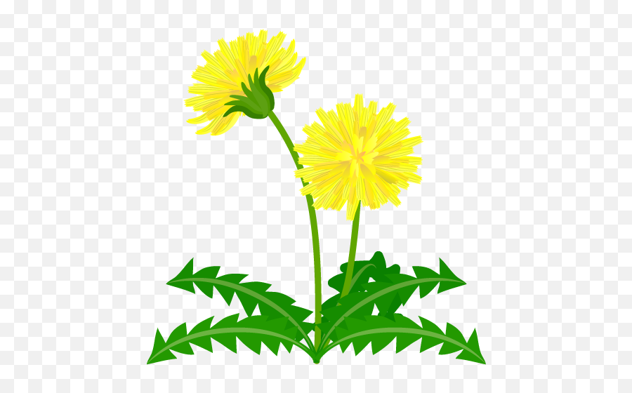 Go To Image - Dandelion Flower Clipart Yellow Full Size Emoji,Dandelion Clipart