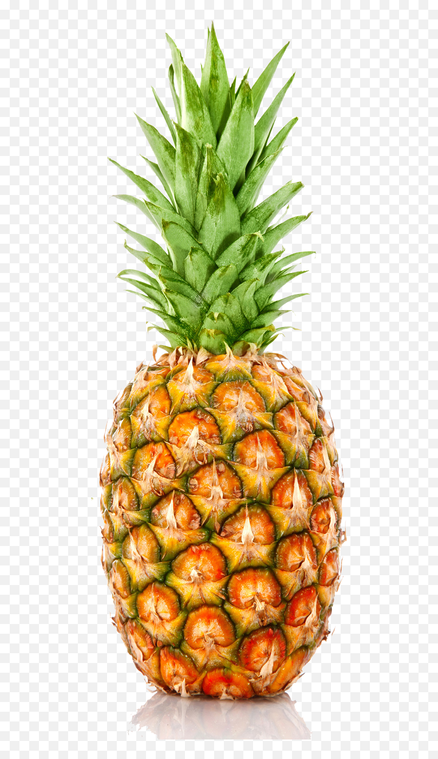 Free Pineapple Outline Png Download Free Clip Art Free - Fruits And Vegetables Individuals Emoji,Pineapple Clipart