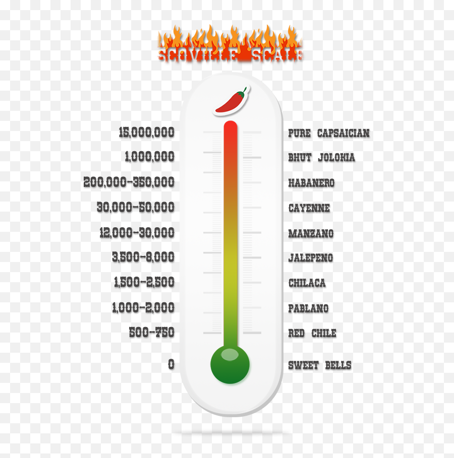 Download Additional Resources - Spice Thermometer Png Thermometer Emoji,Thermometer Png