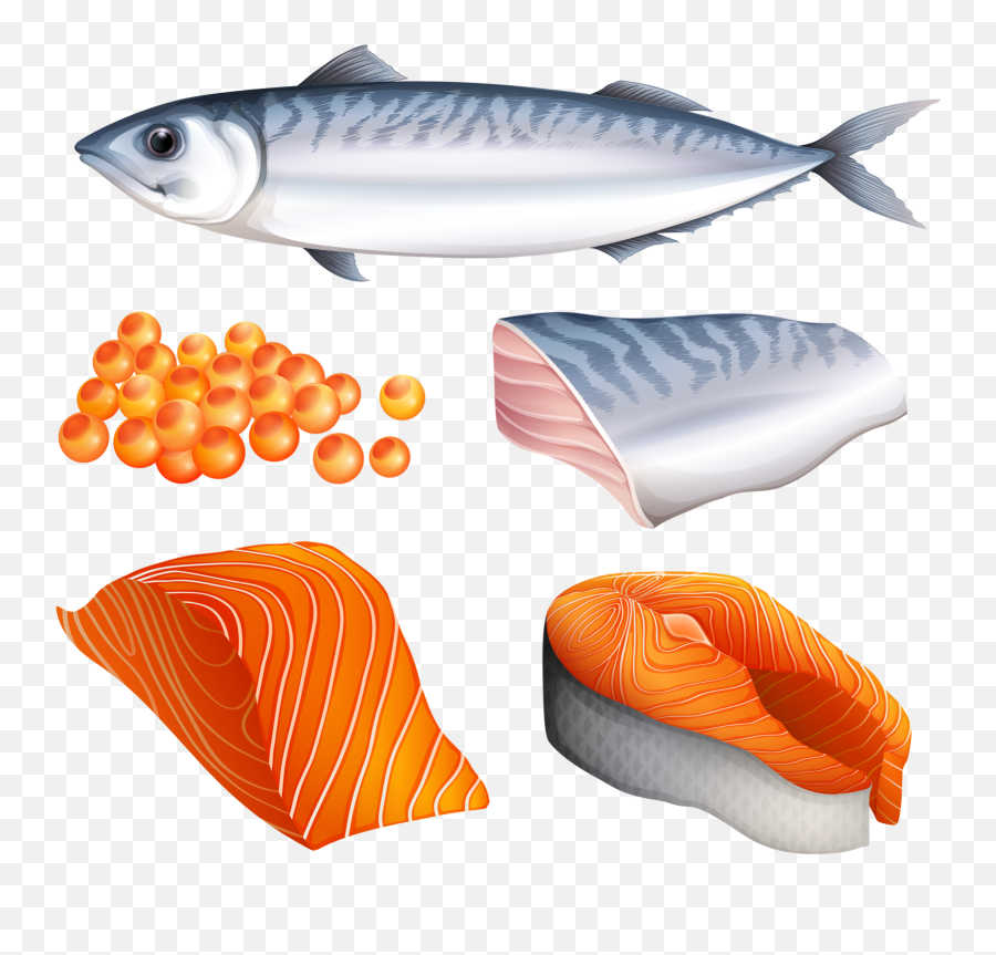Download Food Sketch Salmon Eggs Food Game Play - Salmon Fish Meat Clipart Emoji,Salmon Clipart
