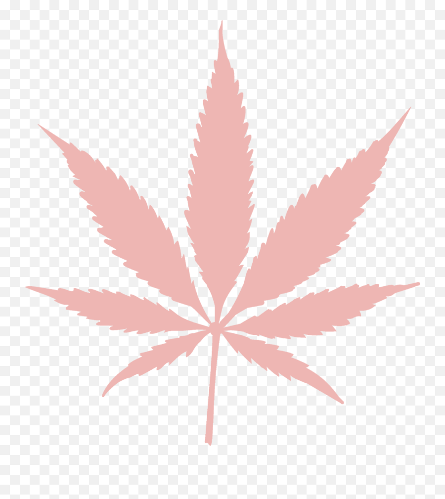 Download Pinkweedy - Cannabis Png Emoji,Pot Leaf Png