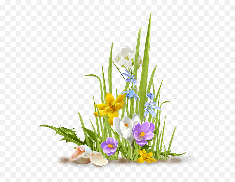 Clipart Spring Wildflower Clipart - Transparent Spring Flowers Png Emoji,Wildflower Clipart