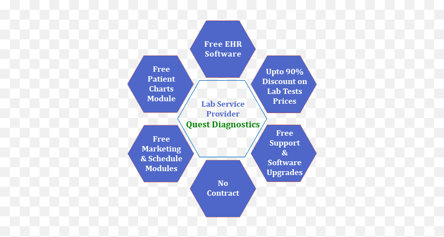 Optiononelab - Ciso Responsibilities Emoji,Quest Diagnostics Logo
