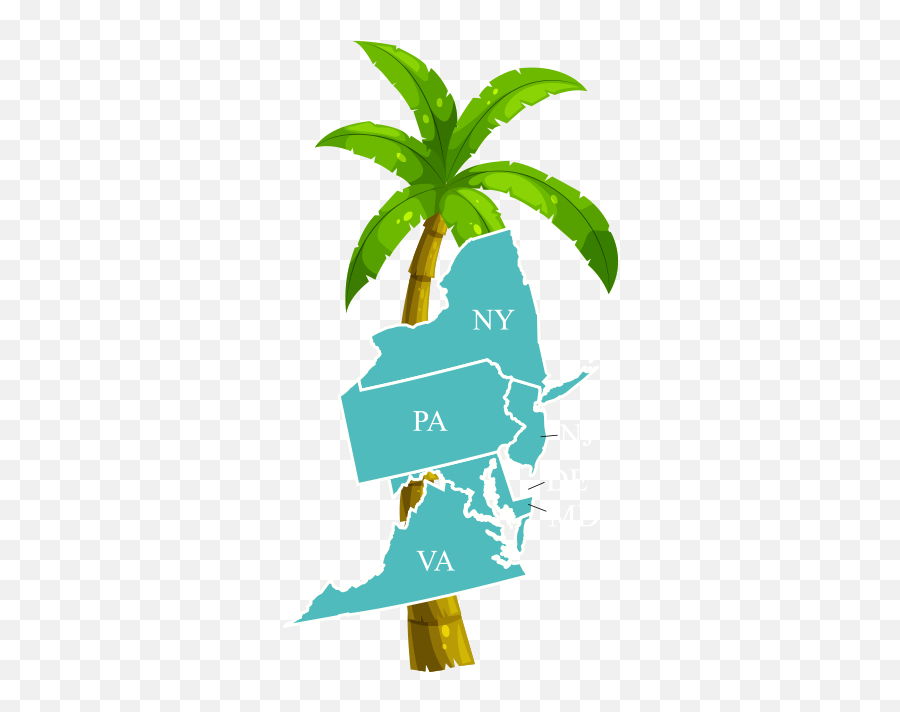 Wholesale Palm Trees Supplier Resort - Coconut Tree Vector Hd Emoji,Palm Tree Logo Restaurant