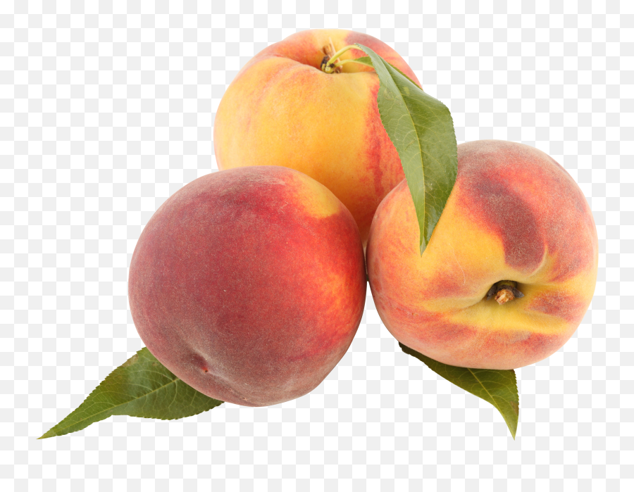 Peach Png Image - Transparent Peach Png Emoji,Peach Png