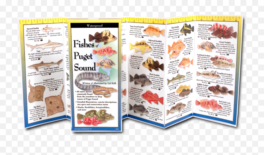 Fishes Of Puget Sound Emoji,University Of Puget Sound Logo