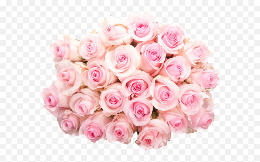 Pink Roses Flowers Bouquet Hq Png Image - Bouquet Light Pink Roses Emoji,Pink Png
