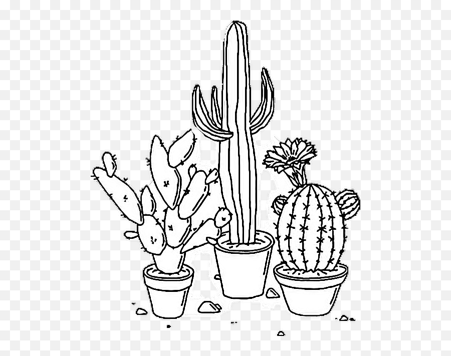 Roots Clipart Cactus Picture - Transparent Aesthetic Stickers White Emoji,Cactus Clipart Black And White
