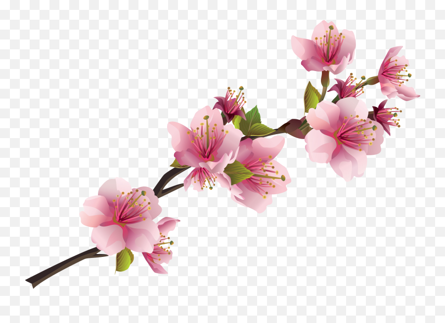 Sakura Pink Flowers Png Free Images 685281 - Png Images Pngio Girly Emoji,Pink Flowers Png
