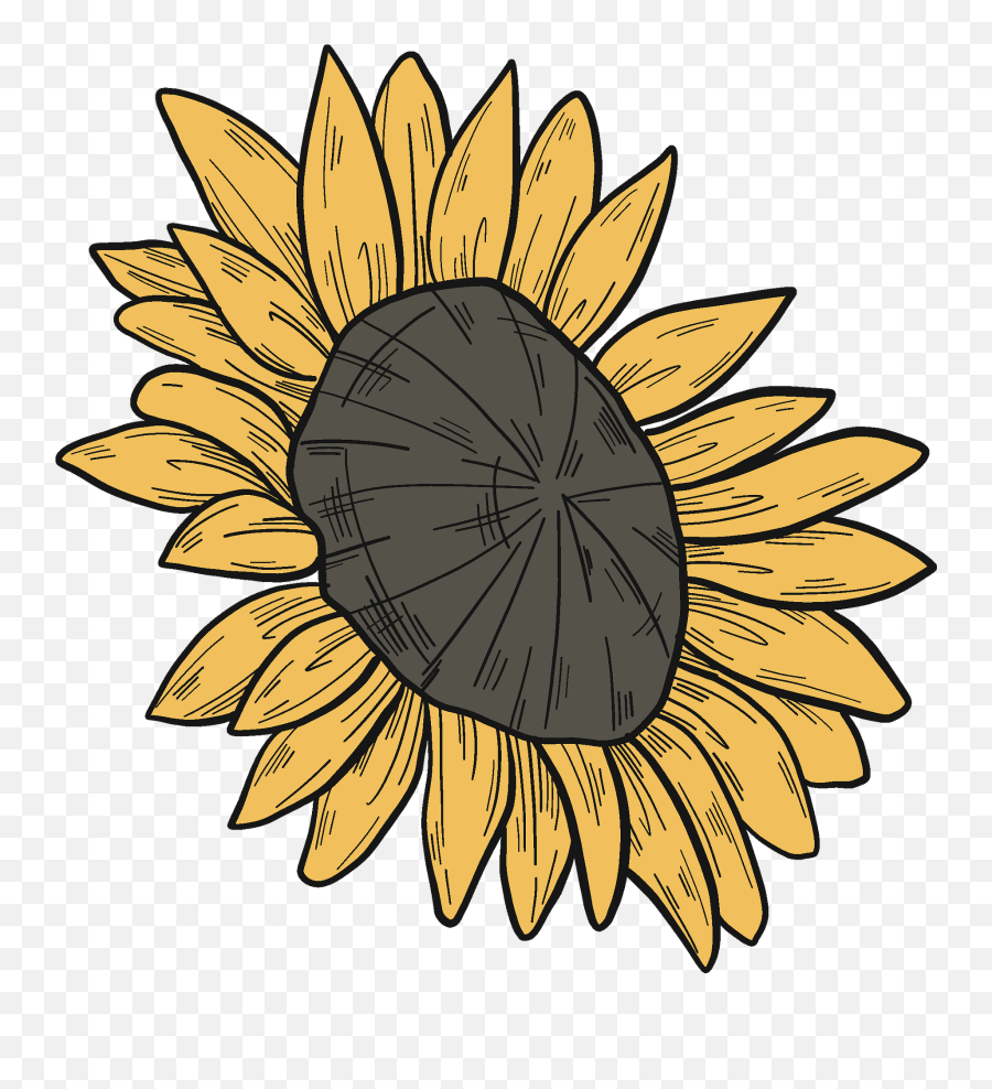 Sunflower Clipart Free Download Transparent Png Creazilla - Lovely Emoji,Sunflower Clipart
