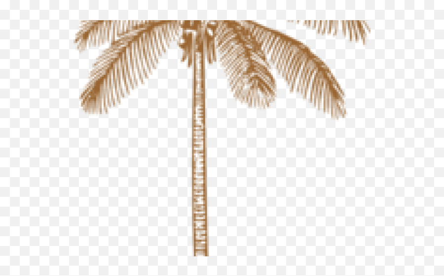 Palm Tree Clipart Free Clip Art Stock Illustrations - Palma Palma Art Emoji,Tree Clipart Free