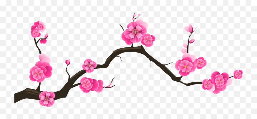 Cherry Blossom Branch Tree Almond - Clipart Branch With Flowers Emoji,Cherry Blossom Png