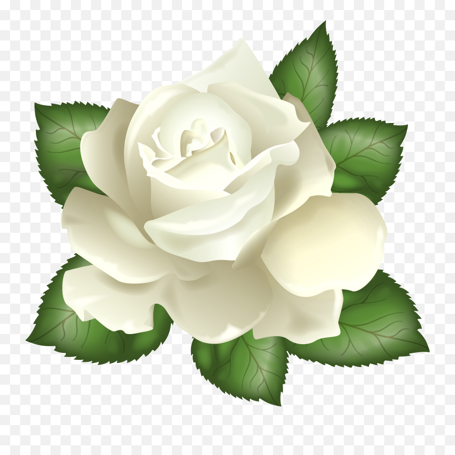 Art Patterns Pattern Art Rose Clipart Clip Art Pictures - Transparent White Rose Png Emoji,Rose Clipart