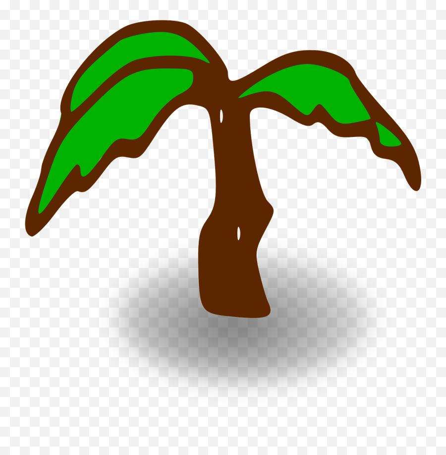 Palm Tree Green Brown Leaves Png Picpng Emoji,Palm Tree Leaves Png