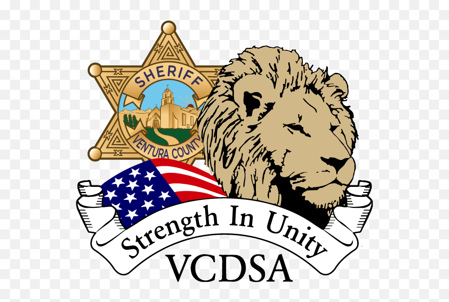 Vcdsa Endorsements For November 3 2020 Election - Ventura Ventura County Sheriff Emoji,Dsa Logo