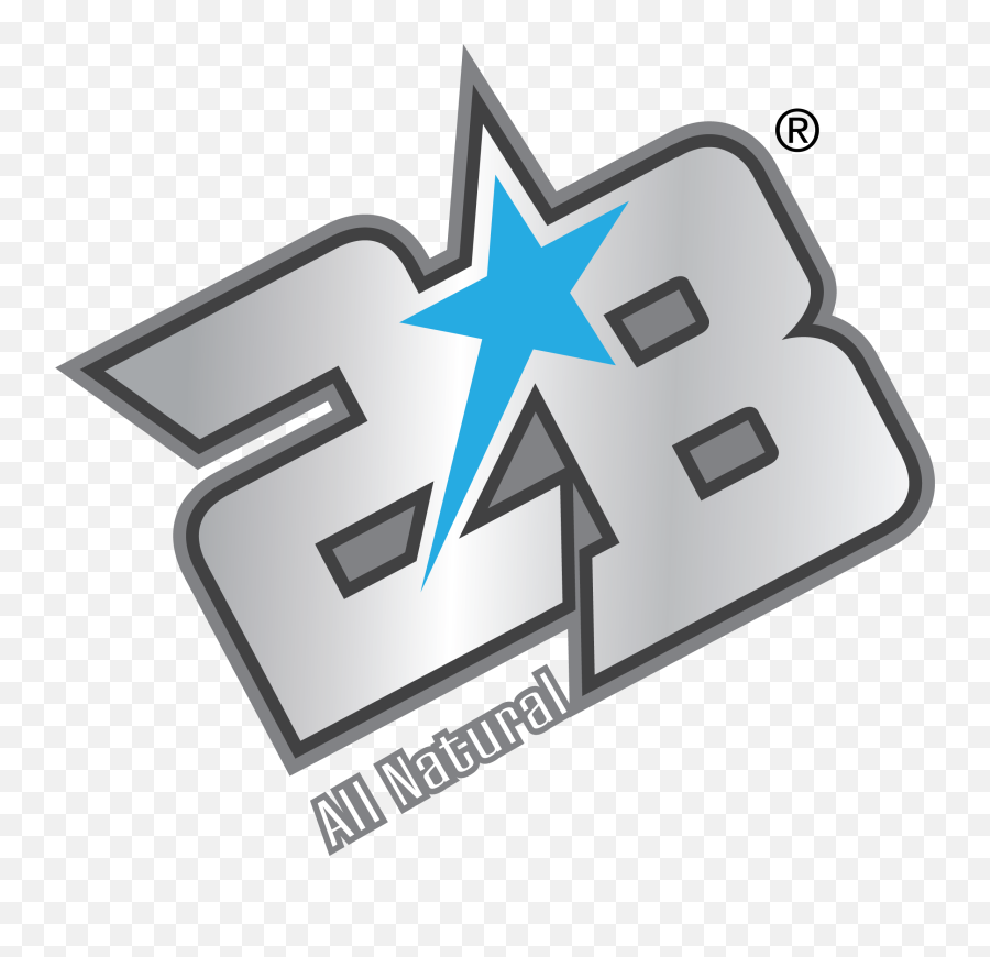 Rn Logo Clip Art - Logo De 2 B 2278x2102 Png Clipart Horizontal Emoji,B Logo