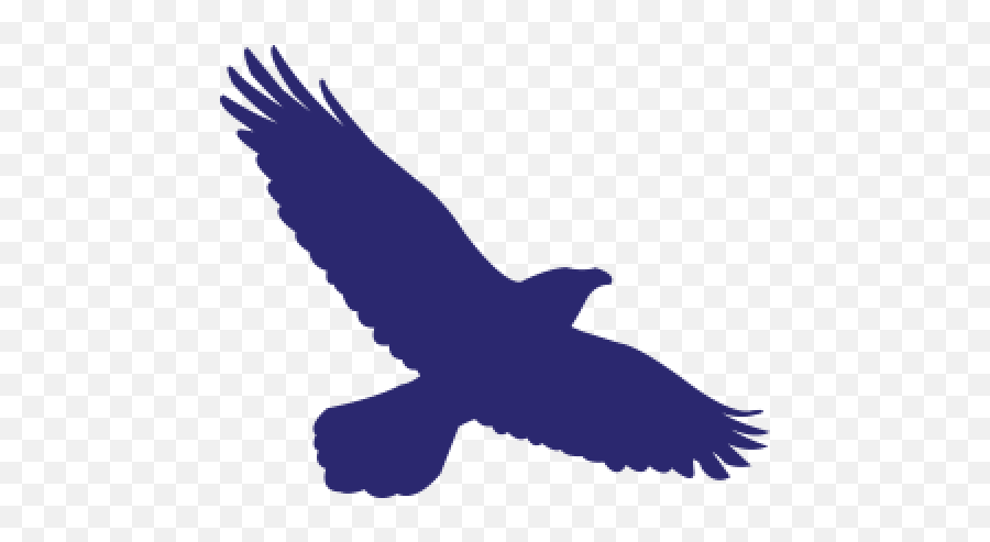 Baltimore Ravens News Rumors Scores Schedule Stats And Emoji,Ravens Png