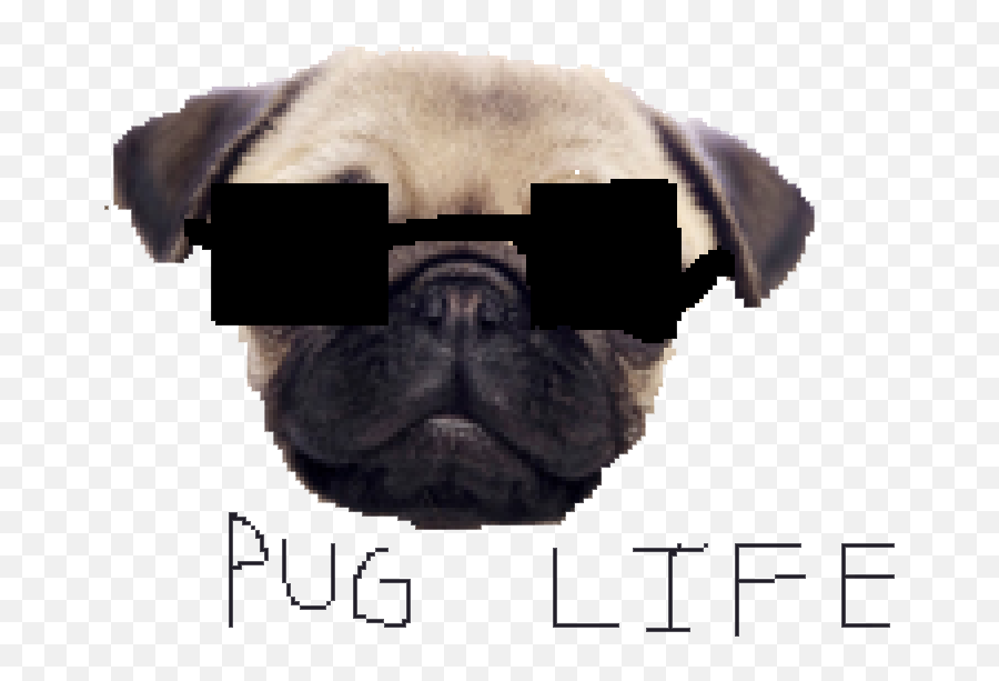 Download Pug Life Clipart Hq Png Image Freepngimg - Pug Thug Life Png Emoji,Life Clipart
