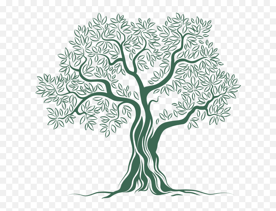 Olive Tree Png - Olive Tree Logo Png Png Download Olive Olive Tree Logo Free Emoji,Tree Logos