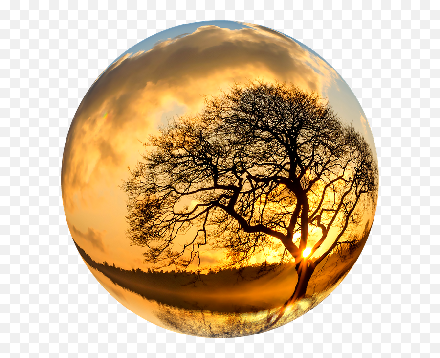 Atmosphere Nature Png Lone Tree Tree - Nature Png Images Hd Emoji,Nature Png