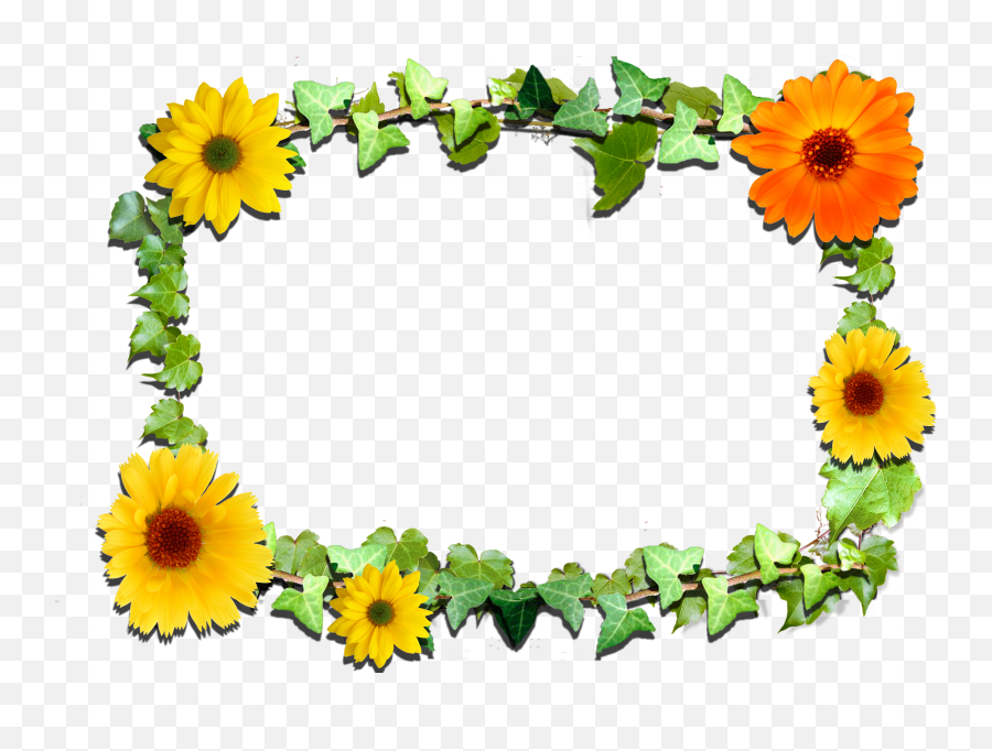 Frame Gallery Flower Frame And Spring Flowers On Pinterest Emoji,Spring Flower Png