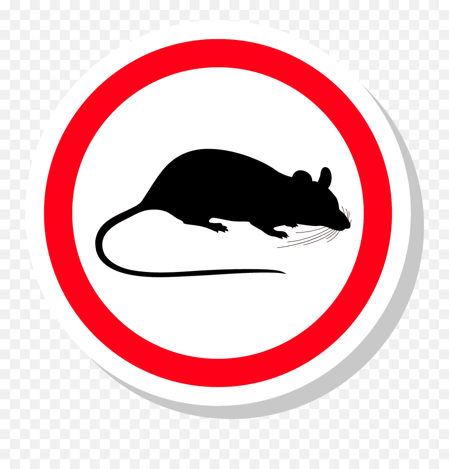 Download Rats And Mice - Rat Emoji,Rat Png