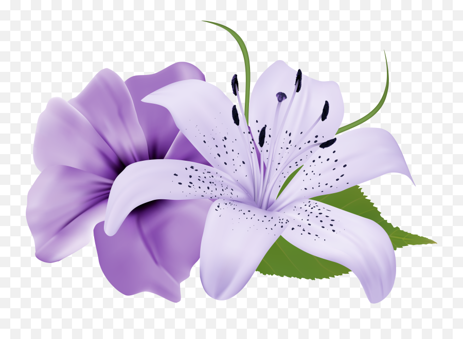 Library Of Free Picture Library Library Of A Flower Png - Transparent Purple Flower Png Emoji,Free Clipart Flowers