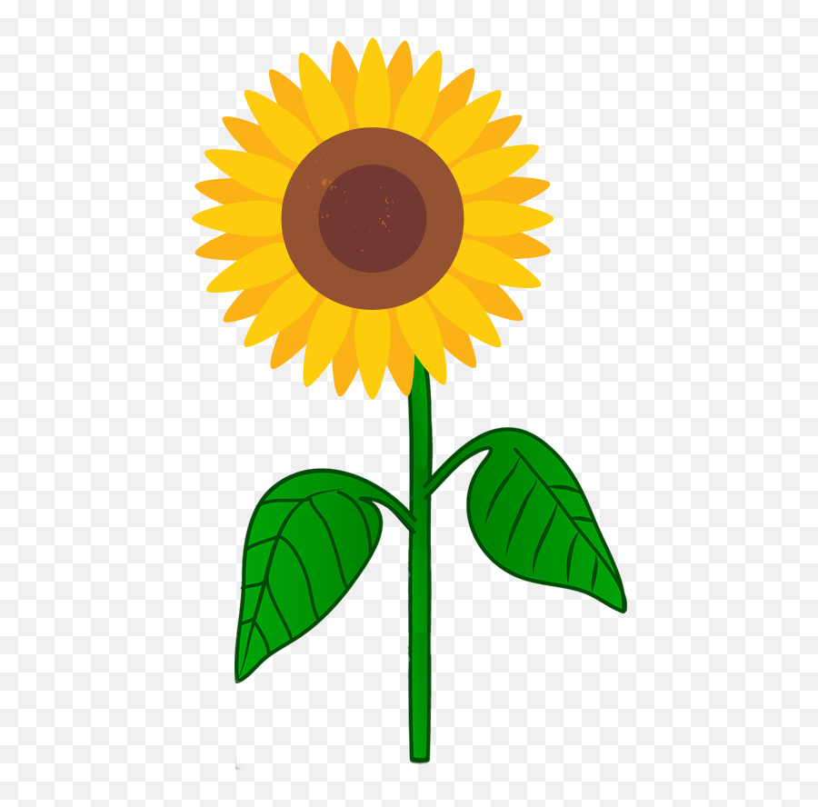 Roots Clipart Sunflower Roots Sunflower Transparent Free - Sunflower With Roots Png Emoji,Sunflower Clipart