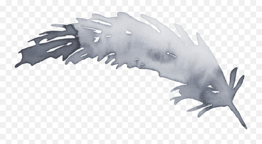 Soulu0027s Intuit - Early Bird Pricing U2014 Yogi Raven Sketch Emoji,Raven Transparent Background