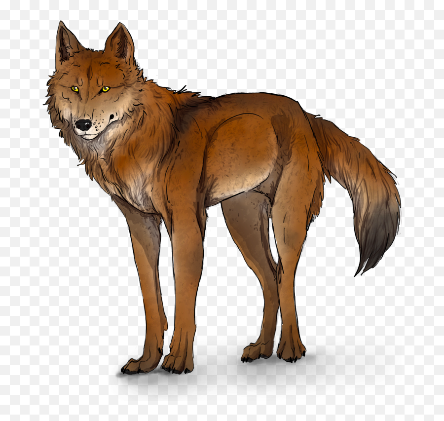 Download Ginger And White Wolf Emoji,White Wolf Png