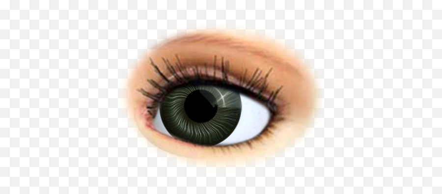 Download Doll Eyes - Eye Png Image With No Background Emoji,Brown Eyes Png