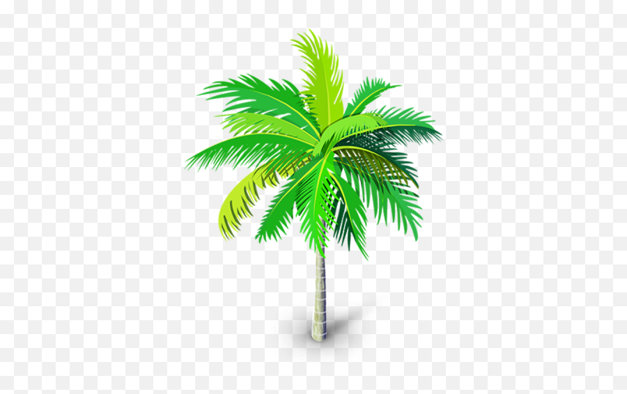 Palm Tree Png Palm Tree Vector Palm - Fresh Emoji,Palm Tree Png