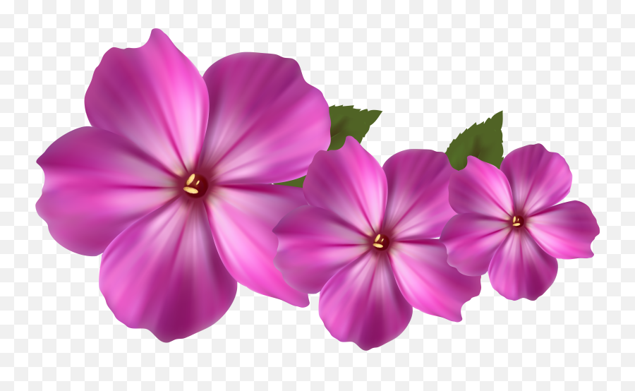 Pink Flower Decor Png Clipart - Periwinkle Flower Png Transparent Purple And Pink Flowers Emoji,Pink Flower Clipart
