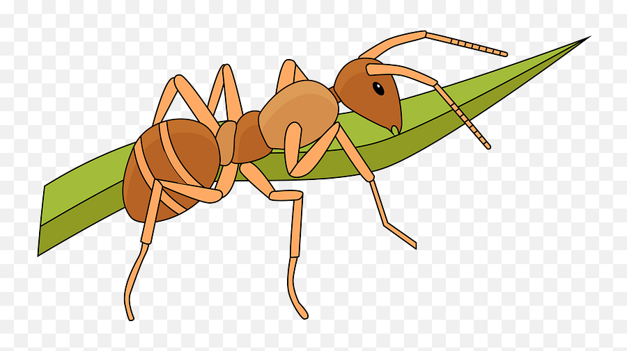 Ant Clipart - Fourmie Clipart Emoji,Ant Clipart