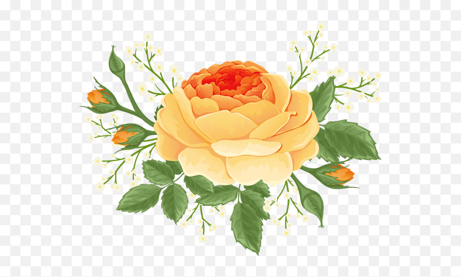 This Png Image - Orange Rose With White Flowers Png Clip Art Emoji,Orange Flowers Png