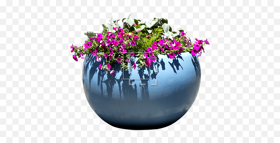 Pink Flowers In A Blue Pot - Immediate Entourage Emoji,Pink Flower Transparent