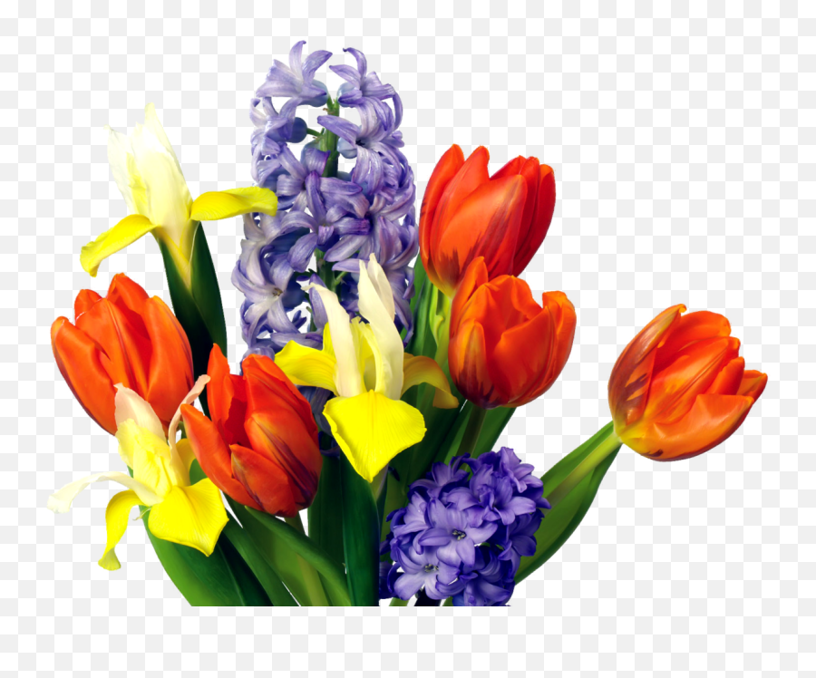 23 Clip Artspring Flowers Ideas Spring Flowers - Clipart For Spring Flowers Emoji,Flowers Clipart